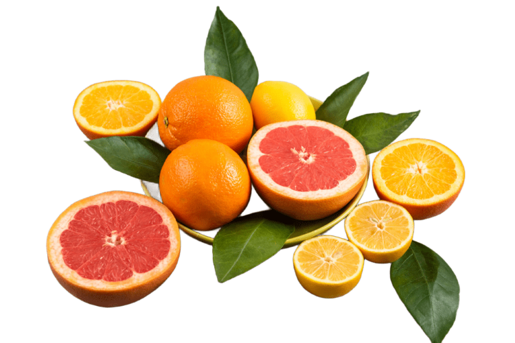 FOLIRA ihracat ve soğuk zincir