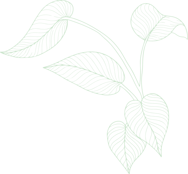 FOLIRA